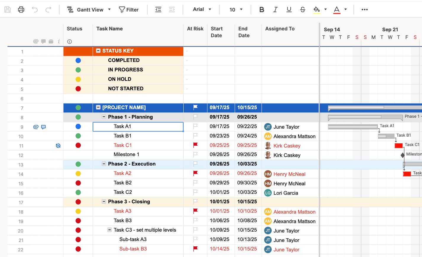 在Smartsheet中列出项目信息