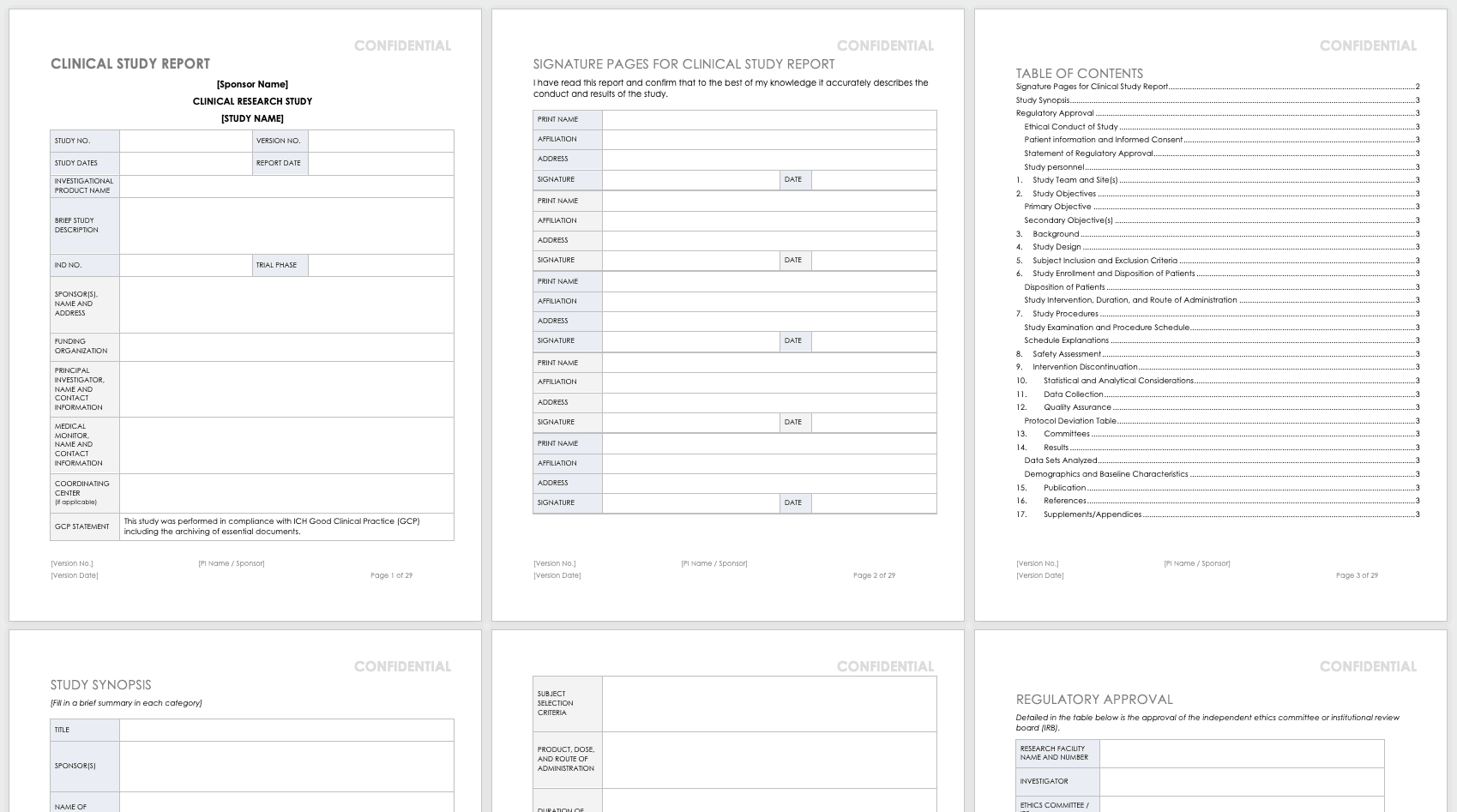 Clinical Study Report Template